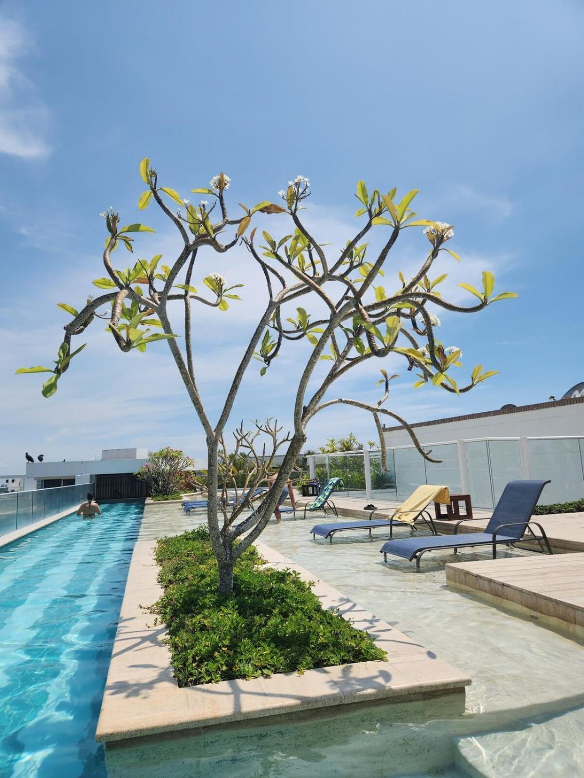 Apartment Exclusive With Private Jacuzzi Cartagena