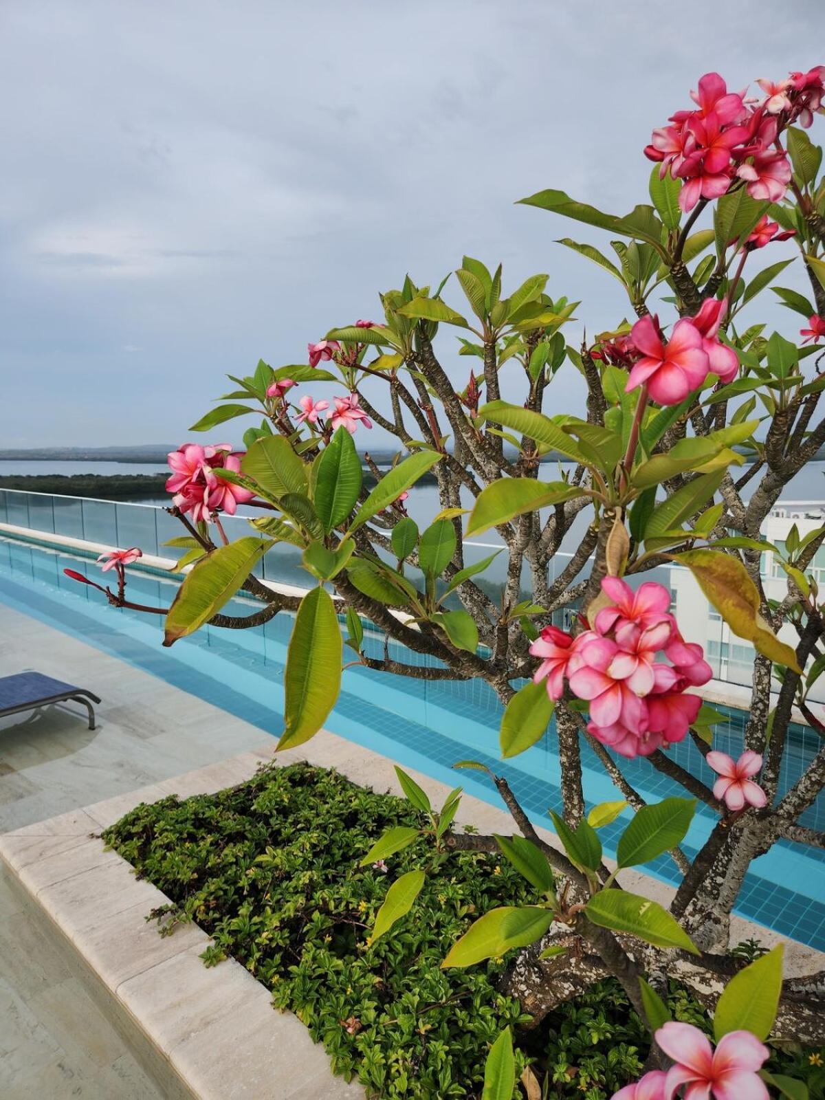 Apartamento Exclusive With Private Jacuzzi